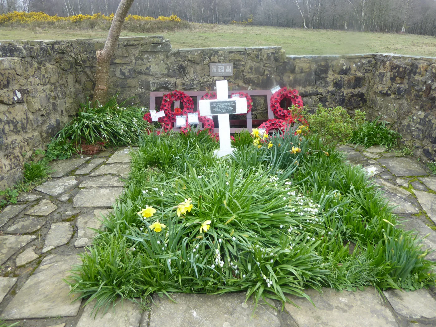 The Airman's Grave on Ashdown Forest, with poppy wreaths behind the white cross.