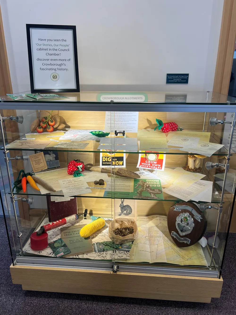 A glass display cabinet at Crowborough Community Centre headed Crowborough Allotments, holding wartime Dig for Victory and Grow More Food posters, old seed packets, a map, a trophy shield, knitted vegetables and handwritten records