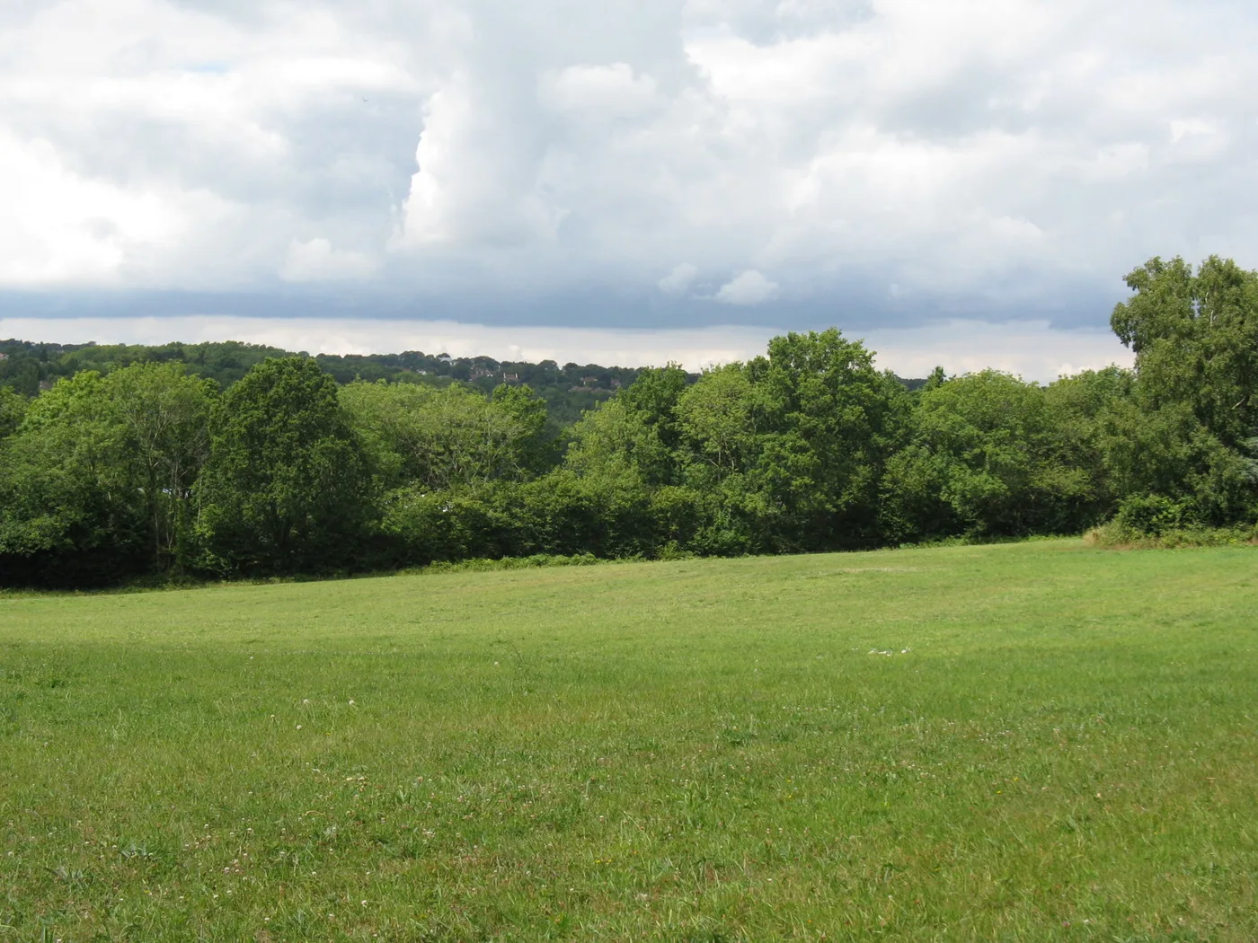 Fields on the footpath approach to Jarvis Brook, with Crowborough beyond